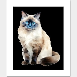 Birman Cat Posters and Art